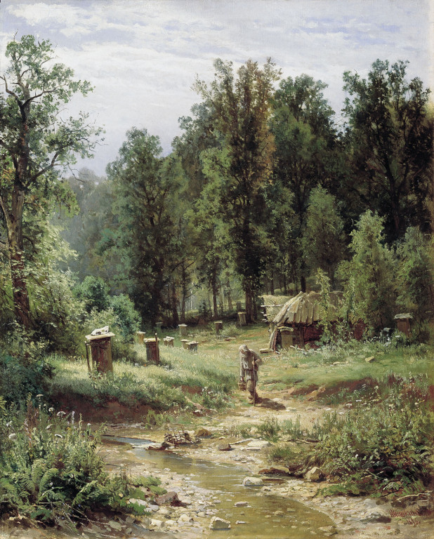 Пасека в лесу. 