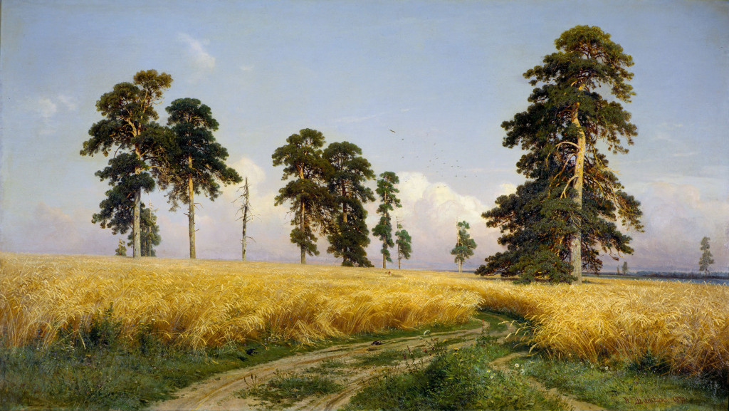 Рожь.