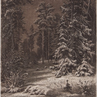 Зимняя лунная ночь.